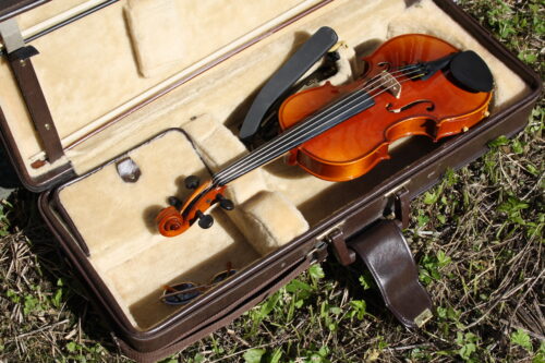 Roselli, Elojuhla, kuva 6, viulu