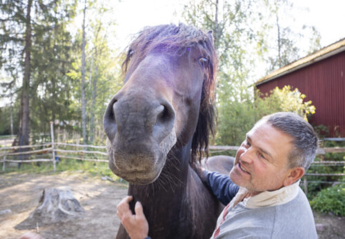 Mika Nissilän yrityksen vieraat saavat tutustua hevoseen ja poniin. Yrittäjä on paneutunut toimitilojensa lisärakentamiseen. Hän odottaa piristyvää kysyntää, kun koronapandemia hellittää otettaan.
