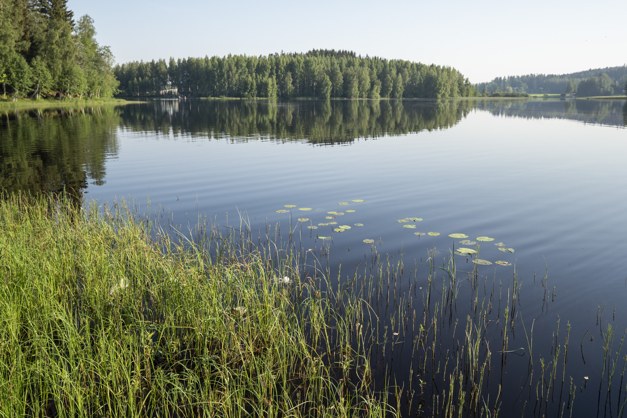 Kyllä kelpaa polskia! – Orivedeltä ei nimittäin ole tehty havaintoja sinilevästä