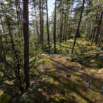 Ensi lauantaina Hengitysliitto viettää Ilman päivää – samana päivänä on myös Suomen luonnon päivä, ja Oriveden seudun Hengitysyhdistys järjestää retken Eräpyhään