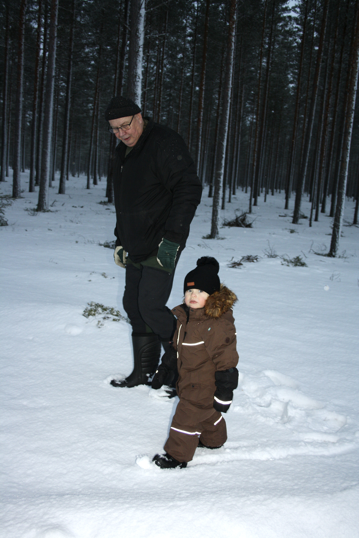 Juupajoki 110 vuotta, 110 valoa Käpylässä