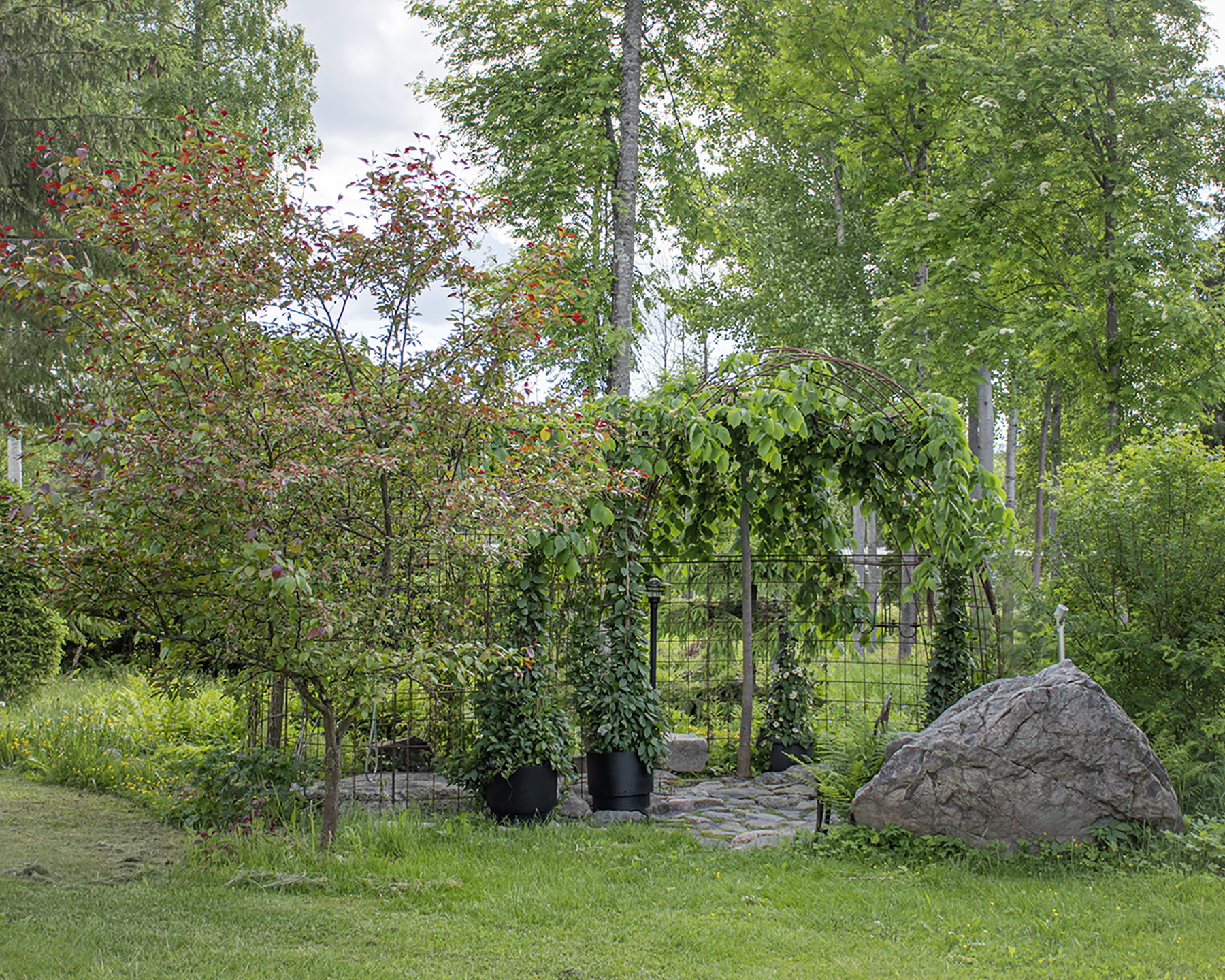 Arboretum, Minna ja Mauri Kaila