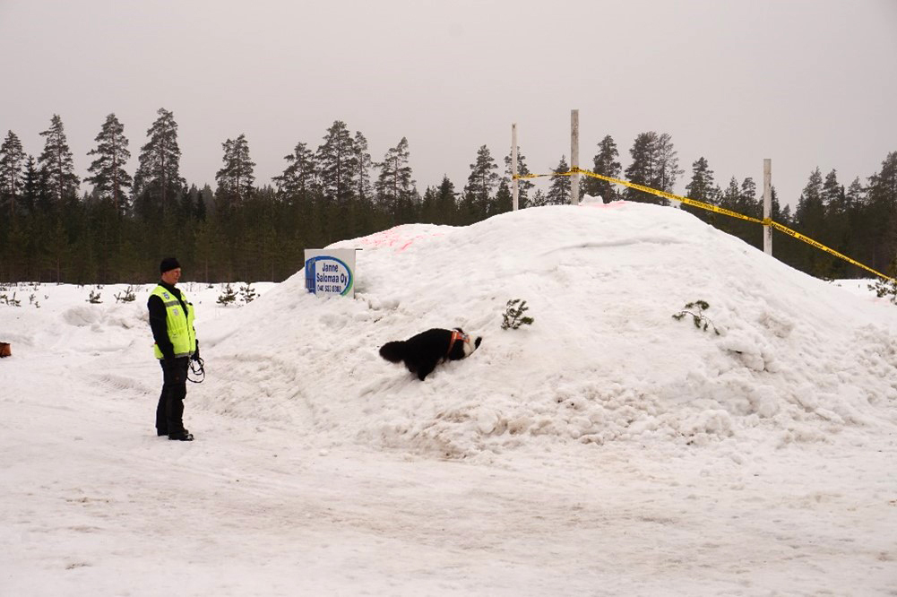 Käpylän ulkoilupäivä